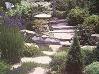 Stone Path