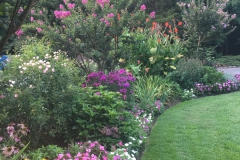 Summer-perennial-garden